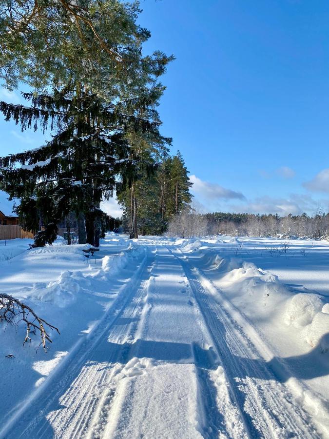Caloroczne Domy Z Bala - Casa Del Czyzyk Serwy Eksteriør billede