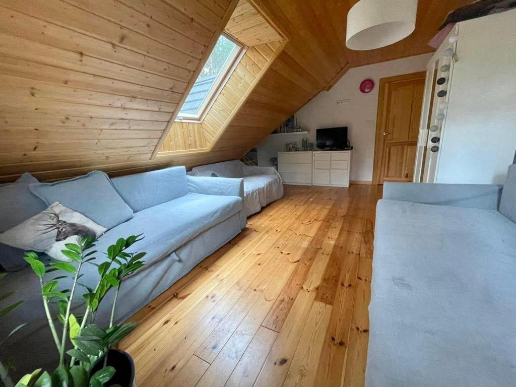 Caloroczne Domy Z Bala - Casa Del Czyzyk Serwy Eksteriør billede